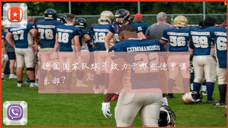 德国国家队球员效力于哪些德甲俱乐部？