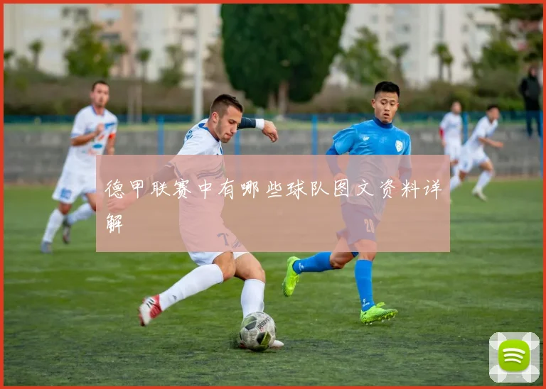 德甲联赛中有哪些球队图文资料详解