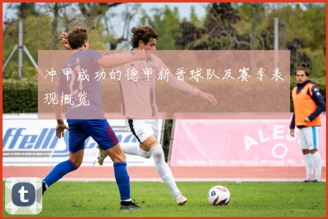 冲甲成功的德甲新晋球队及赛季表现概览